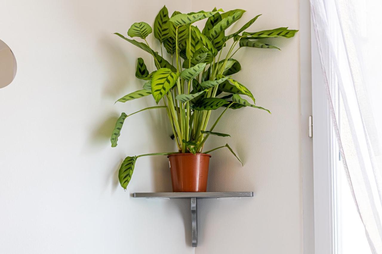 Appart Haut Standing - ORCHIDEE - WIFI inclus Orly Exterior foto